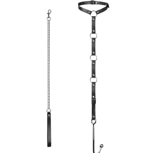 Anal Hooks Kinky Hook 5853 EverydayUse and Collar with Anal Leash 1006